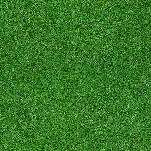 Ковролин Flotex Vision Image 000369 grass фото ##numphoto## | FLOORDEALER